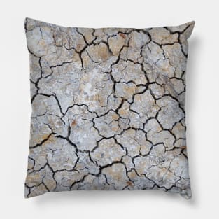 Dry and swollen earth texture Pillow