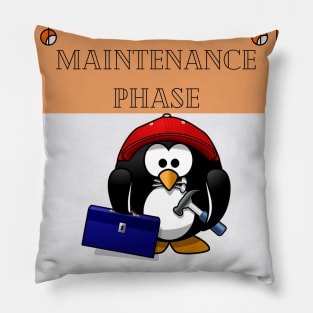 maintenance phase Pillow