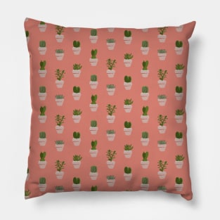 Cacti & Succulents - Pink Pillow