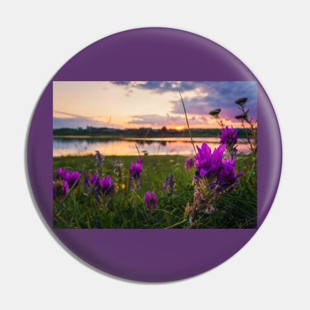 purple wildflowers Pin by psychoshadow