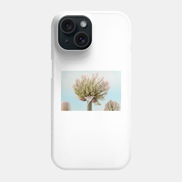 Allium karataviense   AGM  Kara Tau garlic Phone Case by chrisburrows