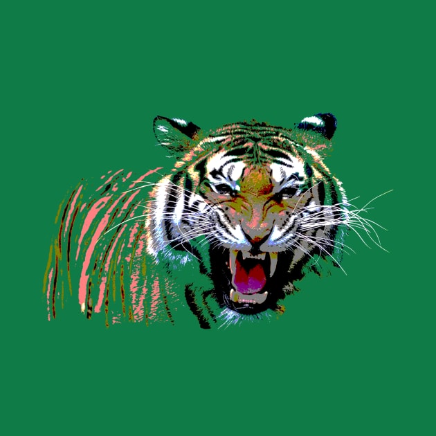 Angry Tiger by TeMan