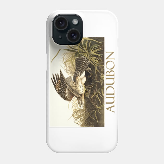 Winter Hawk by John James Audubon Phone Case by Naves