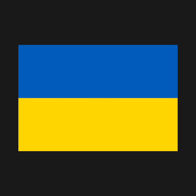 Ukraine Flag by Virly