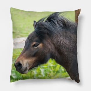 Shetland Pony Pillow