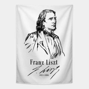 Franz Liszt, Classical Music-Piano Tapestry