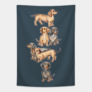 Dachshunds and Dogwood Blossoms Tapestry