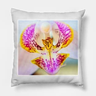 ORCHID Pillow