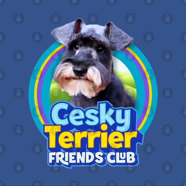 Cesky Terrier by Puppy & cute