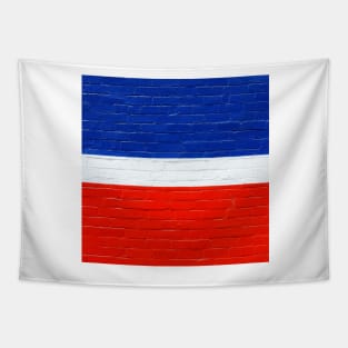 minimalist red, white and blue Tapestry