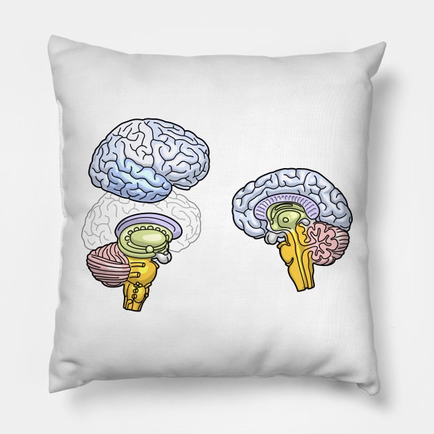 Human Brain Hemisphere Anatomy Illustration Pillow by taylorcustom