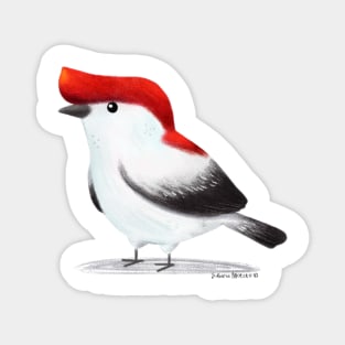 Araripe Manakin Bird Magnet