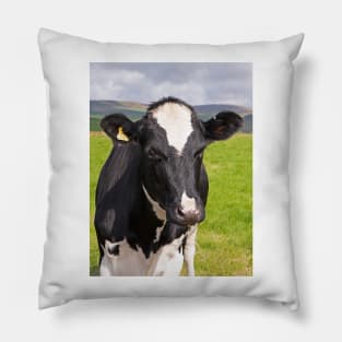 Frisian Cow, Peak District Pillow