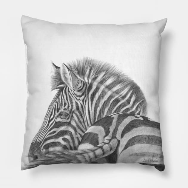 A Watchful Eye - Zebra Pillow by Mightyfineart