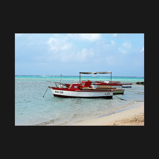 Welcome to Aruba, fishing boats tied up. by tgass