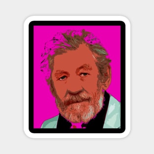 ian mckellen Magnet