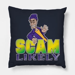 Scam Likely Pillow