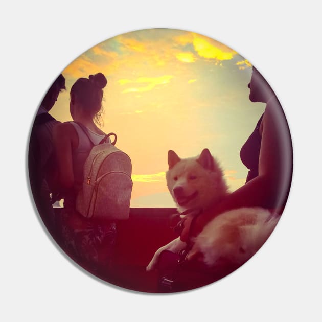 Staten Island Ferry Dog Sunset New York City Pin by eleonoraingrid