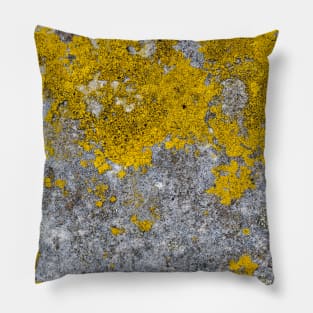 Vivid Yellow Mold Growth Pillow