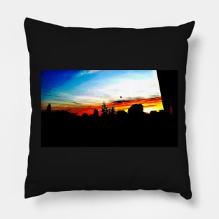 Flying bird in technicolor Pillow