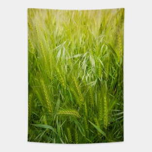 Blooming wild foxtail plants Tapestry