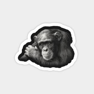 Chimpanzee in Thoughtful Pose Magnet