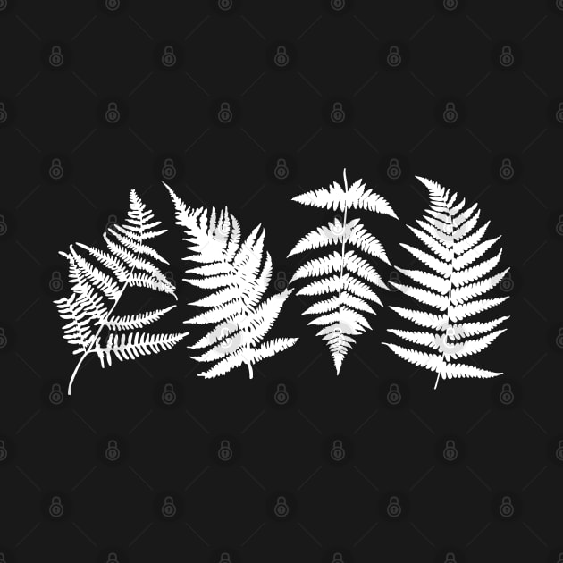 Botanical Fern by uncommontee