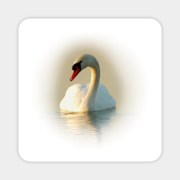 Swan Magnet by Guardi