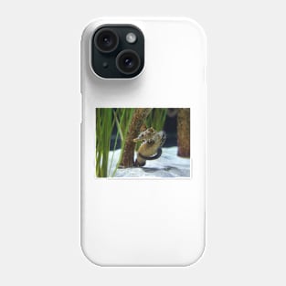 Seahorse Hug Phone Case