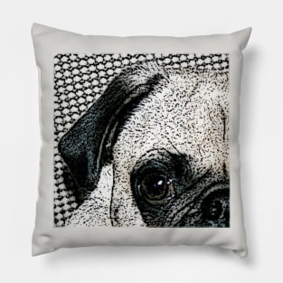 Pug-Peek-a-Boo Pillow