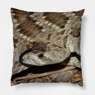 Mojave Rattlesnake Print Pillow