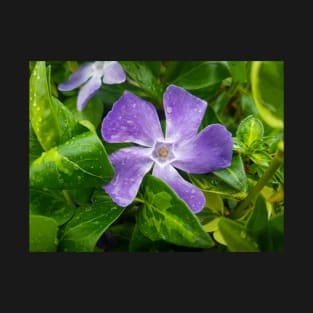 Purple flower T-Shirt