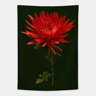 Red Spider Mum Tapestry