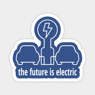 Electric Vehicle Magnet