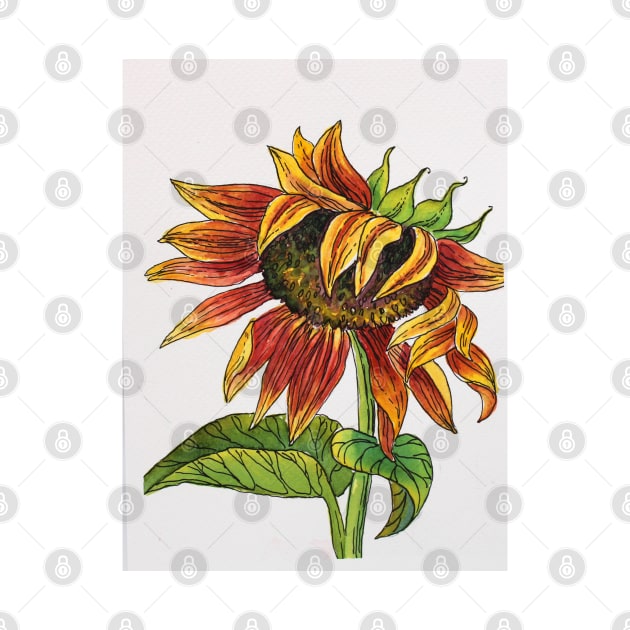 Sunflower Watercolor Painting by SvitlanaProuty