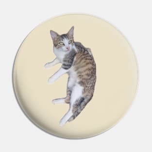 Kitten Pin