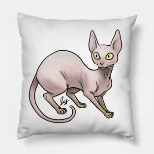 Cat - Sphinx Cat - Pink Pillow