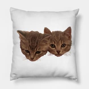 Baby Baxter and Jelly Bean - Cute Kittens Pillow
