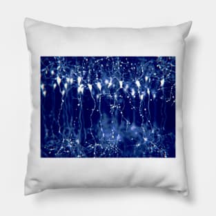 Pyramidal neurons in the cerebral cortex, illustration (F023/0917) Pillow