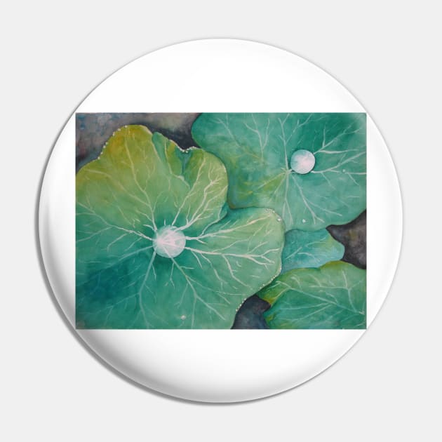 In Rosemary's Garden - Nasturtium Leaf with Dew Drops Pin by Heatherian