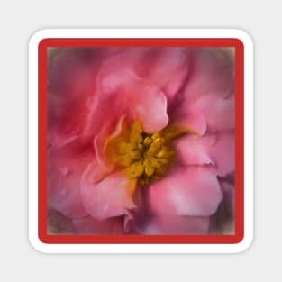 Artistic Begonia Magnet