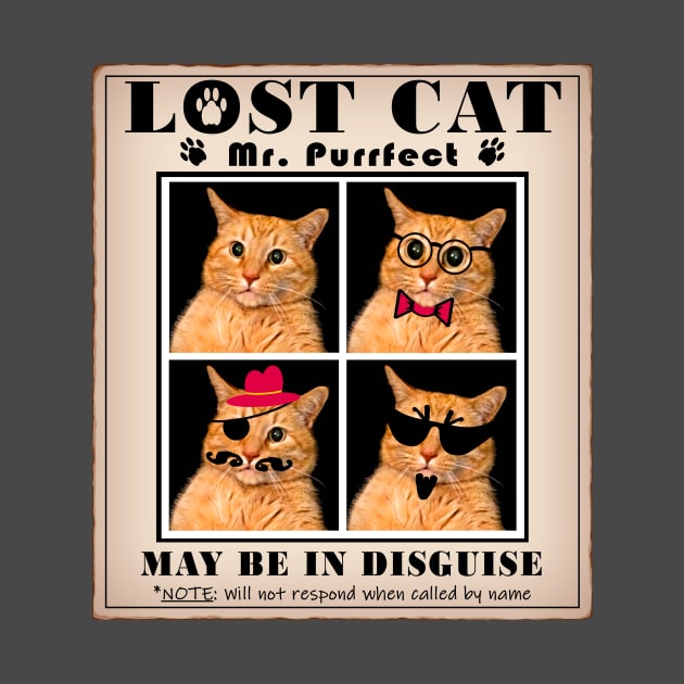 LOST CAT: Missing Mr. PURRfect by RawSunArt