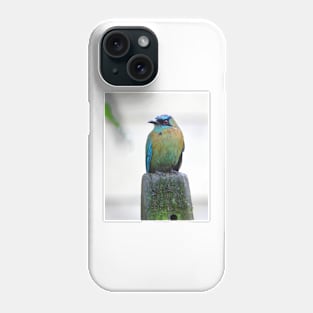 Blue-crowned Motmot Phone Case