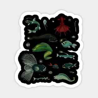 Biters Magnet