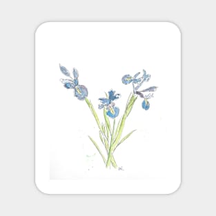 Blue Iris Flowers drawing Magnet