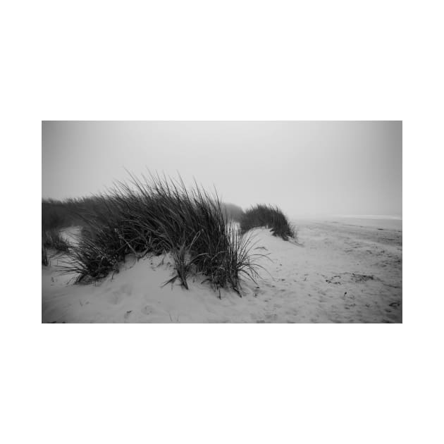 Stormy Day At The Beach by JimDeFazioPhotography