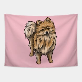 Cute Pomeranian dog Tapestry