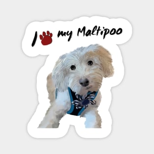 I love my maltipoo Magnet