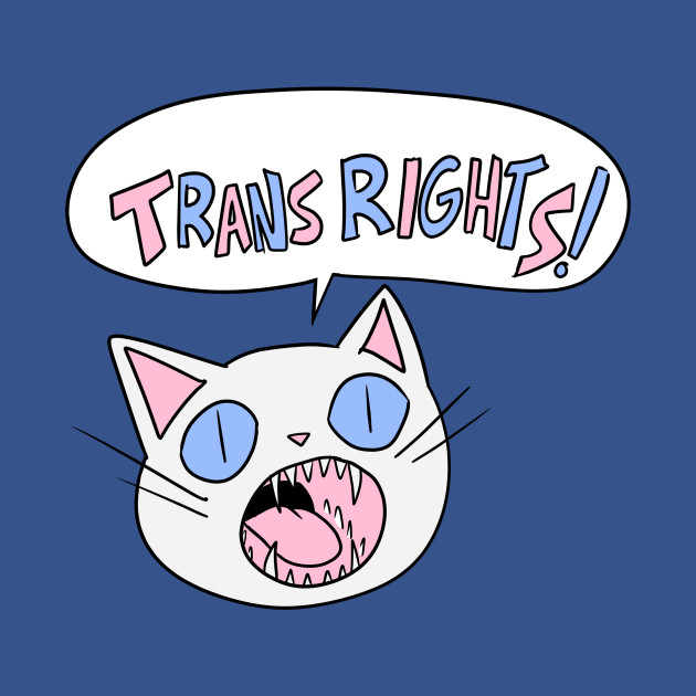 Trans Rights! - Transgender - T-Shirt