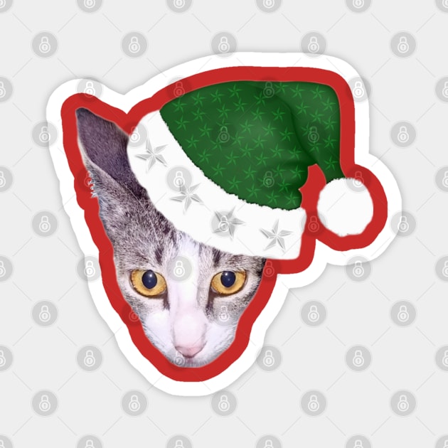 Cute Cat In Green Christmas Hat Magnet by aspinBreedCo2